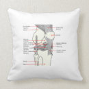 Recherche de anatomie coussins Humain