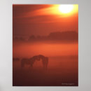 Recherche de amant sauvage posters Nature