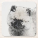Recherche de spitz dessous de verres Chiot