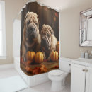 Recherche de chiot shar de pei Amoureux des chiens