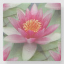 Recherche de lotus dessous de verres Water