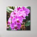 Recherche de fushia posters Violet