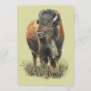 Recherche de buffalo invitations Bison