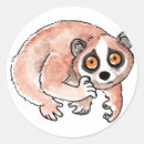 Recherche de loris autocollants Adorable