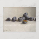 Recherche de fruit prune cartes postales Vie