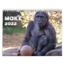 Recherche de gorille bureau fournitures Primate