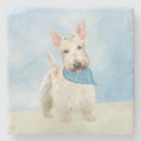Recherche de terrier écossais dessous de verres Bleu