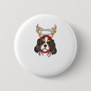 Recherche de cavalier king charles spaniel badges Chiot