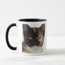Recherche de pureté tasses Tir de studio