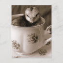 Recherche de cup cartes postales Animal
