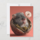 Recherche de souris adorable cartes postales Mignon