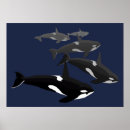 Recherche de orca art Baleine