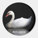 Recherche de souvenir de la belgique magnets Travel