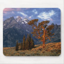 Recherche de tetons tapis souris Parc national