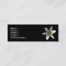 Recherche de affaires de lis Floral