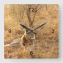 Recherche de lions horloges Faune
