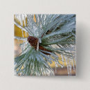 Recherche de aiguilles de badges Hiver