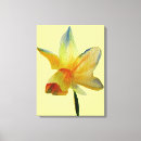 Recherche de jonquilles art Floral