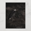Recherche de bleu de cartes postales Faune