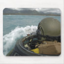 Recherche de amphibies Marines