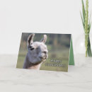 Zoek naar lama kaarten Gelukkig