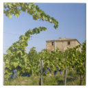 Recherche de raisins carreaux Vert