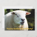 Zoek naar rammen posters Boerderijen