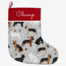 Recherche de allemand chaussette de noël Mignon