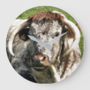 Recherche de longhorns horloges Vaches