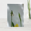 Zoek naar levensduur kaarten Bloemen