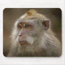 Recherche de monkey tapis souris Drôle