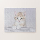 Recherche de peinture de chat puzzles Tabby