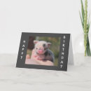 Recherche de porc photographie Anniversaire
