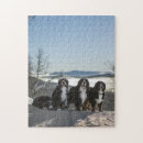 Recherche de chien de montagne bernese puzzles Dog