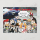 Recherche de colombe mignonne cartes postales Humour