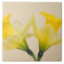Recherche de fleur jonquille carreaux Flore