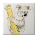 Recherche de ours mignon carreaux Animaux