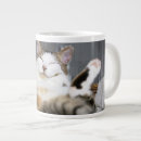 Recherche de bébé chat tasses Drôle