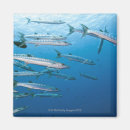 Recherche de créatures magnets Sous marin