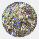 Recherche de arbustes autocollants Arbres