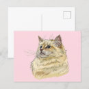 Recherche de dessin de chat cartes postales Animal
