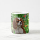Zoek naar cavalier king charles spaniel mokken Puppy