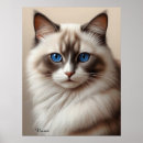 Zoek naar katten portret posters For pets