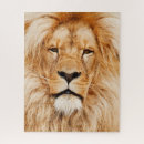 Recherche de african puzzles Lion