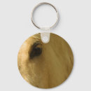 Zoek naar wit paard sleutelhangers Paarden