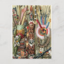 Recherche de congo cartes postales Tribu