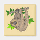 Recherche de griffes magnets Animal