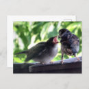 Recherche de j enseigne cartes postales Pour eux