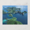 Recherche de papouasie cartes postales Océan