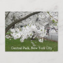Recherche de new york central park cartes postales Tourisme